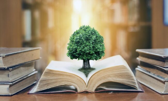 Tree growing out of book
